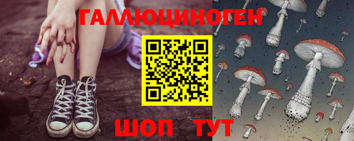 Галлюциногенные грибы ЛСД Камышин