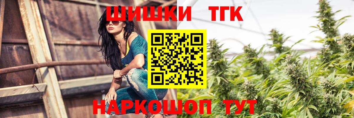Каннабис сатива Камышин